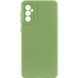 Чехол Silicone Cover Lakshmi Full Camera (A) для Samsung Galaxy S24 (Зеленый / Pistachio)